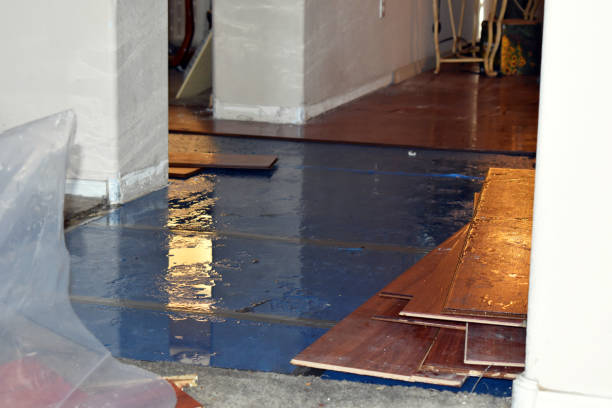 Professional Basement Flood Cleanup technician working in Kalkaska, MI